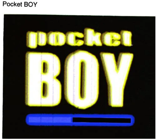 POCKET BOY