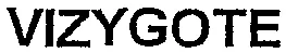 VIZYGOTE