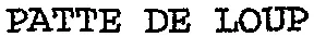 PATTE DE LOUP