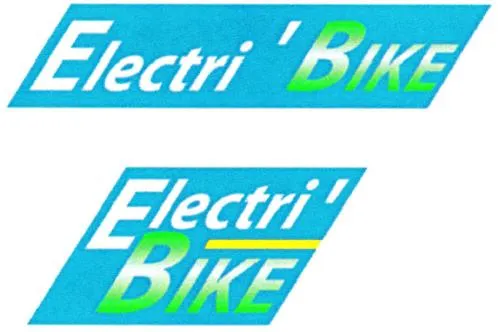 Electri' BIKE