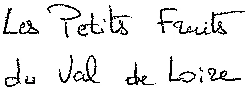 Les Petits Fruits du Val de Loire
