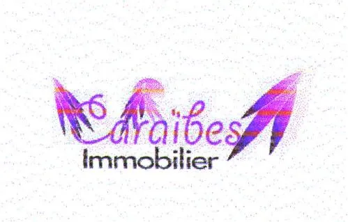 CARAÏBES IMMOBILIER