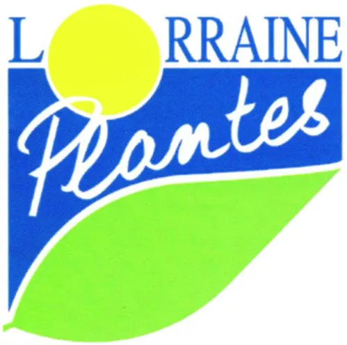 LORRAINE Plantes