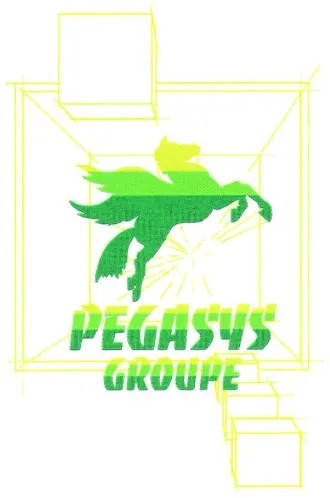 PEGASYS GROUPE