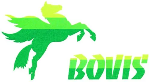 BOVIS