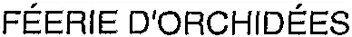 FÉERIE D'ORCHIDÉES