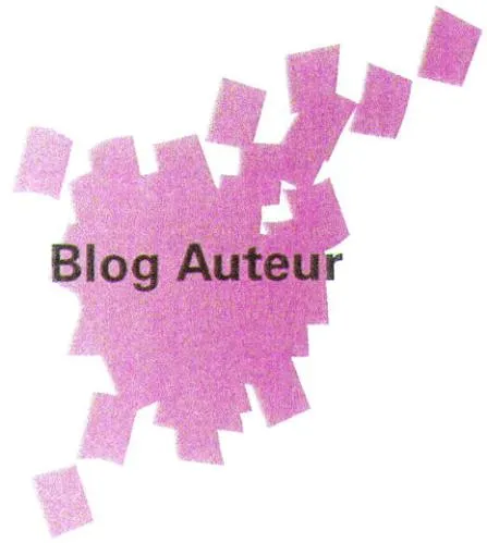 BLOG AUTEUR