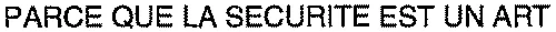 PARCE QUE LA SECURITE EST UN ART
