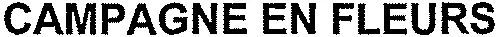 CAMPAGNE EN FLEURS