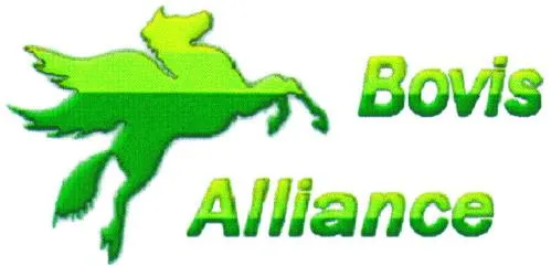 BOVIS ALLIANCE