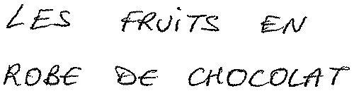 LES FRUITS EN ROBE DE CHOCOLAT