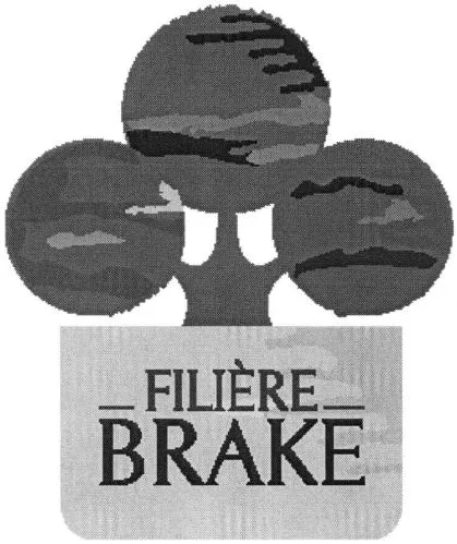 FILIÈRE BRAKE