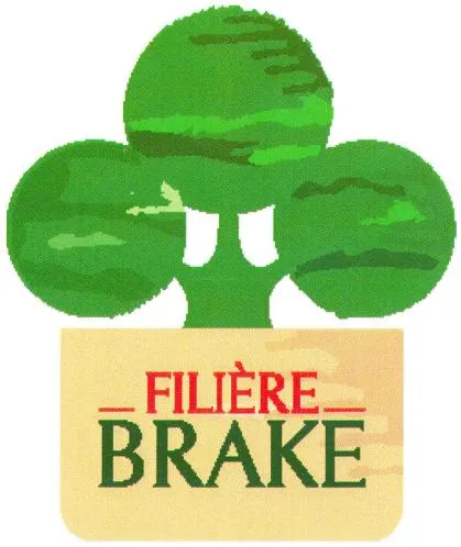 FILIÈRE BRAKE