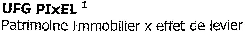 UFG PIxEL 1 Patrimoine Immobilier x effet de levier
