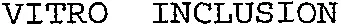 VITRO INCLUSION
