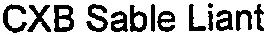 CXB Sable Liant