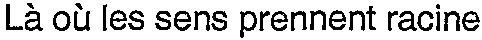 Là où les sens prennent racine