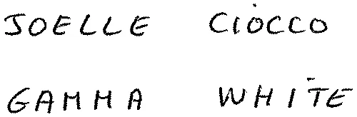 JOELLE CIOCCO GAMMA WHITE