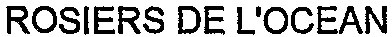 ROSIERS DE L'OCEAN