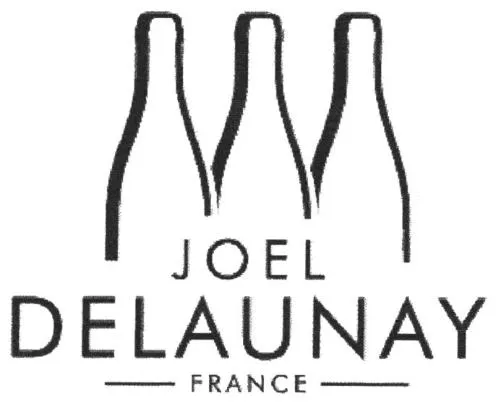 JOEL DELAUNAY FRANCE