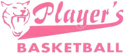 PLAYER'S BASKETBALL