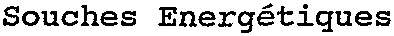 Souches Energétiques