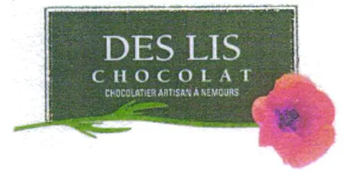 DES LIS CHOCOLAT CHOCOLATIER ARTISAN A NEMOURS