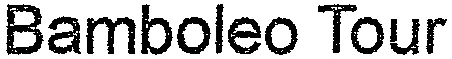 Bamboleo Tour
