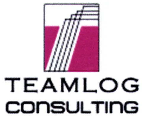 T TEAMLOG CONSULTING