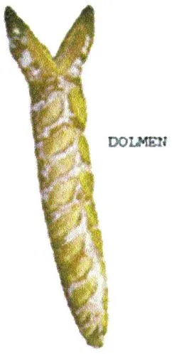 DOLMEN