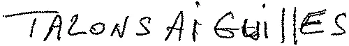 TALONS AIGUILLES