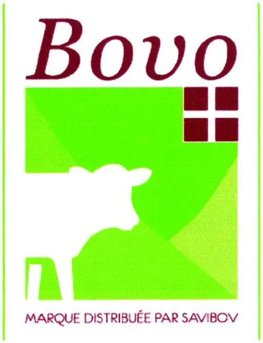 BOVO