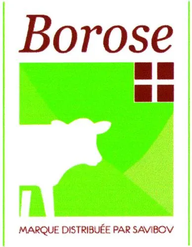 BOROSE