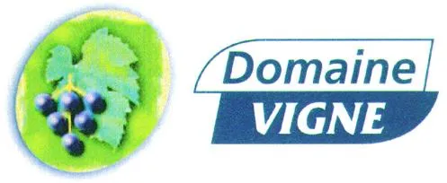 DOMAINE VIGNE
