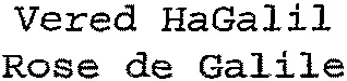 Vered HaGalil Rose de Galile