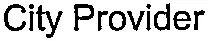 City Provider