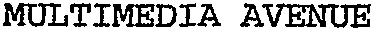 MULTIMEDIA AVENUE