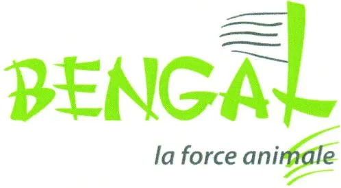 BENGAL La force animale