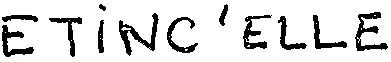 ETINC'ELLE