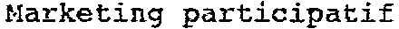 Marketing participatif