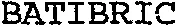 BATIBRIC