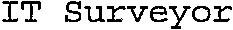 IT Surveyor