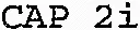 CAP 2i
