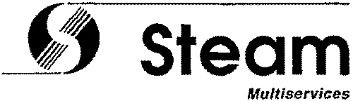 Steam Multiservices