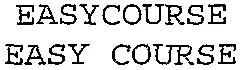 EASYCOURSE EASY COURSE