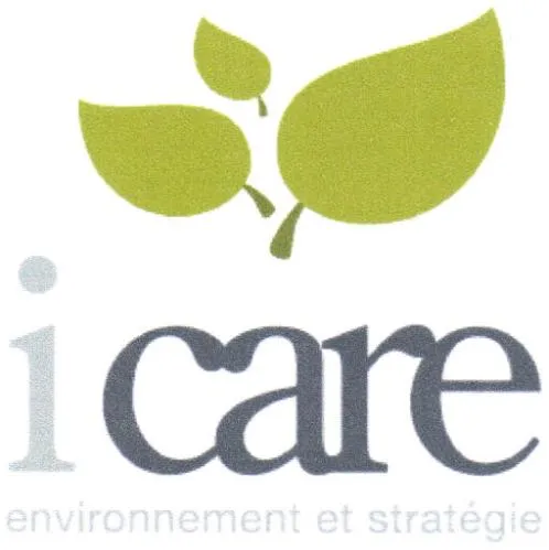 ICARE ENVIRONNEMENT ET STRATEGIE