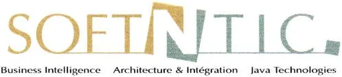SOFTNTIC BUSINESS INTELLIGENCE ARCHITECTURE & INTEGRATION JAVA TECHNOLOGIES