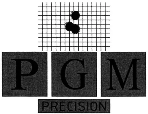 PGM PRECISION