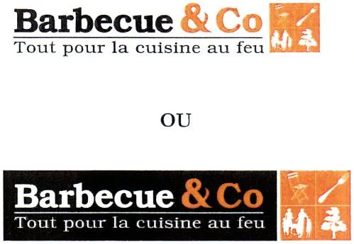 Barbecue & Co Tout pour la cuisine au feu