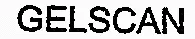 GELSCAN